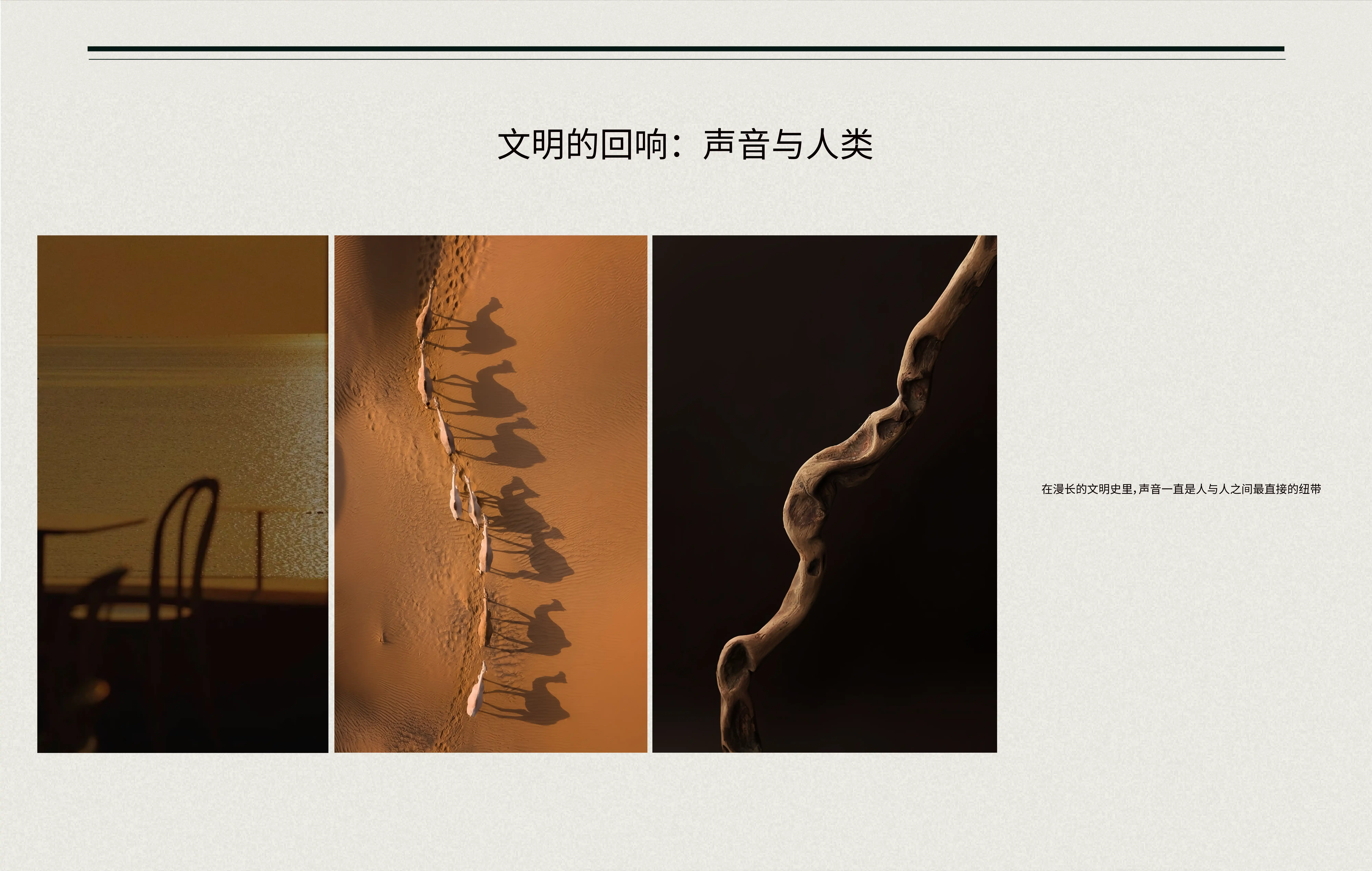 自由的回响